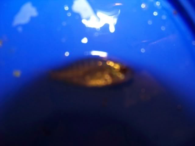 100_0804.jpg