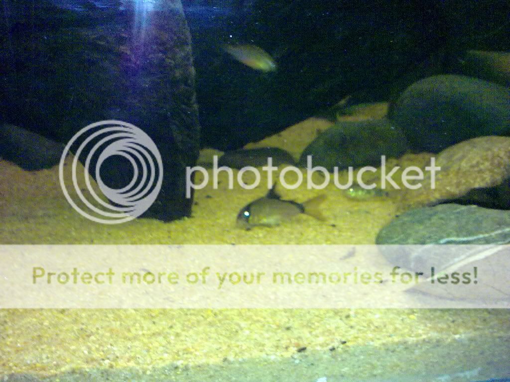 11062009244.jpg