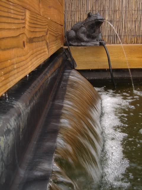 DSC08899.jpg