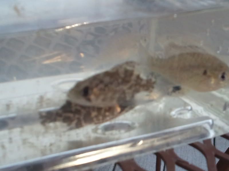2012-03-11185023.jpg