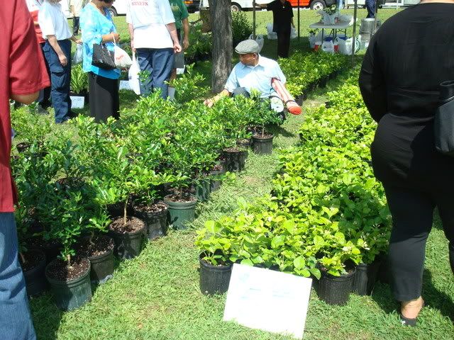 DSC07430.jpg