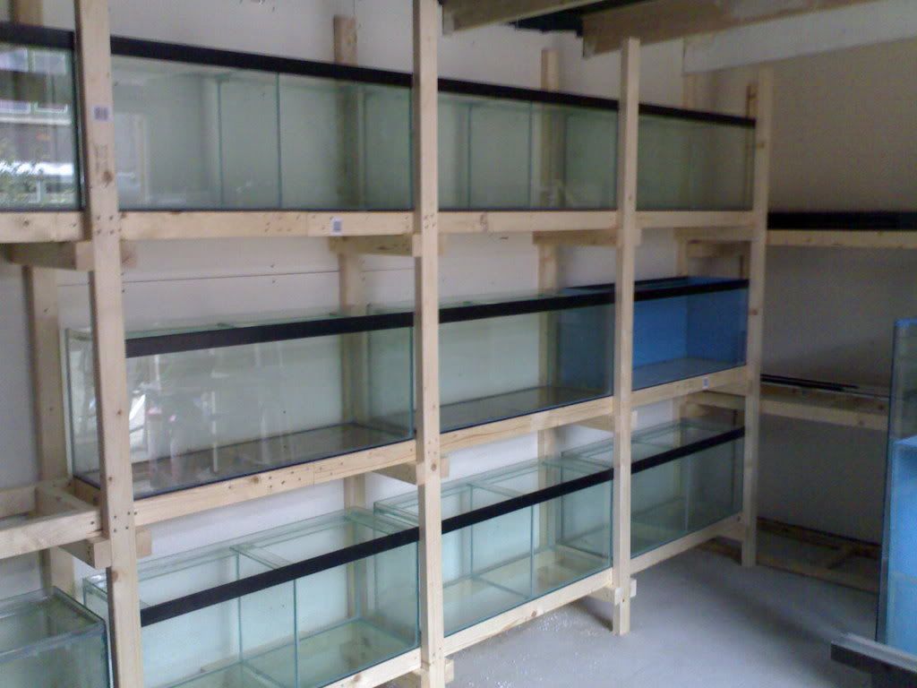 12102007502.jpg
