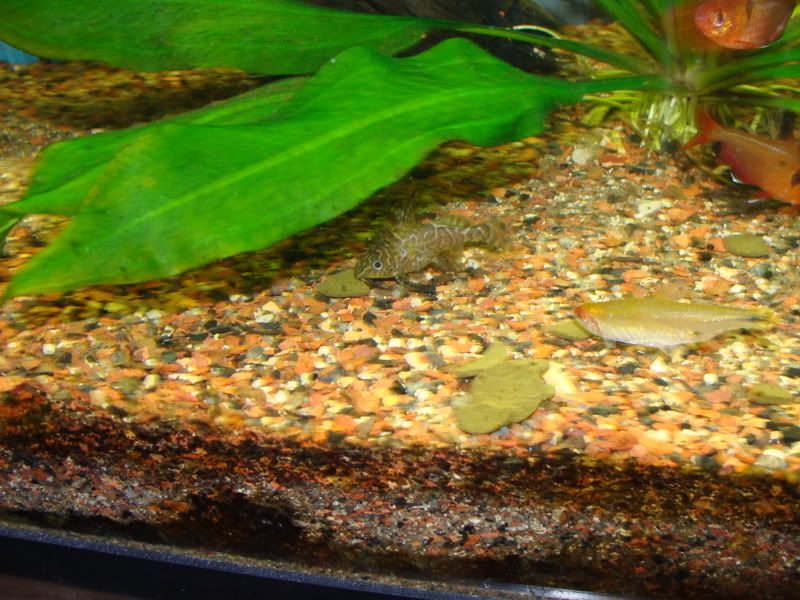 DSC01511.jpg