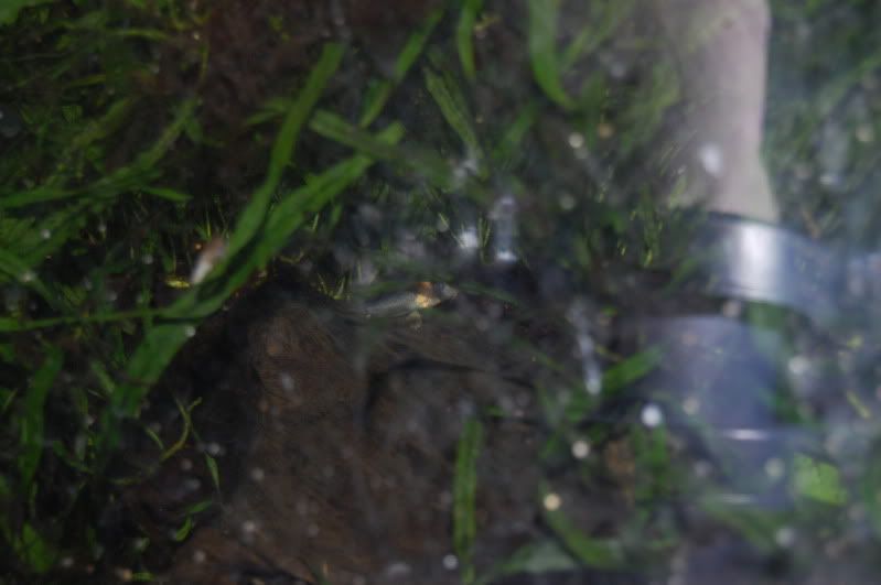 DSC_1209.jpg