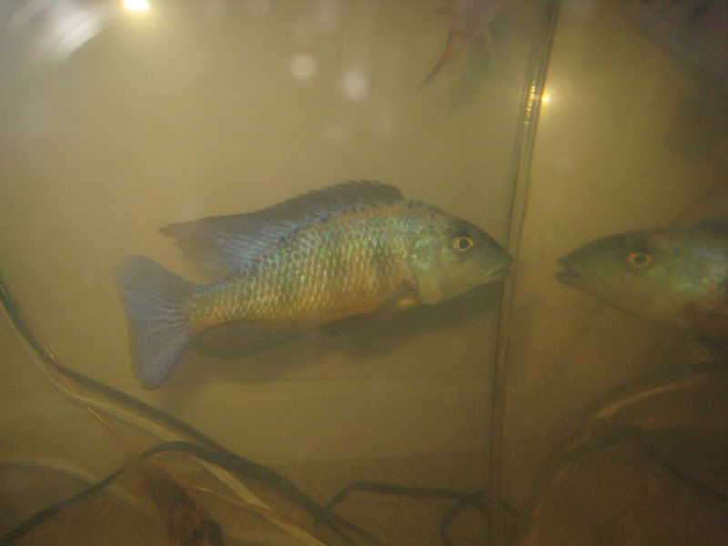 IMG_4325.jpg