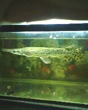 IMG0119A.jpg