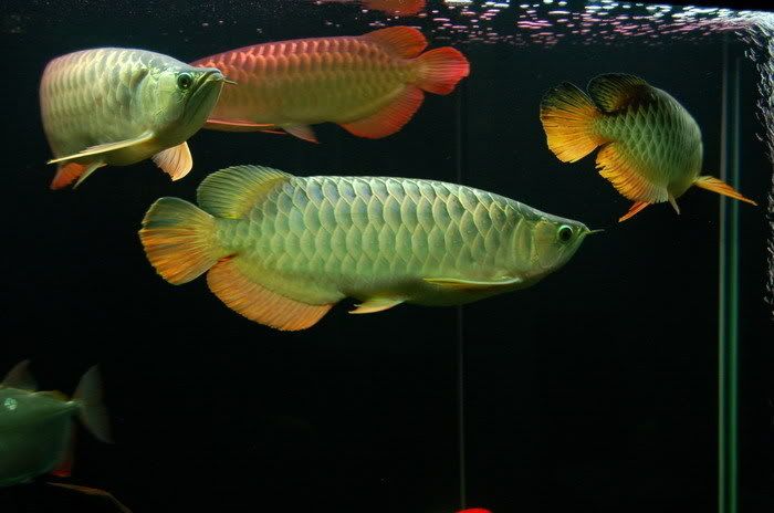 image04.jpg