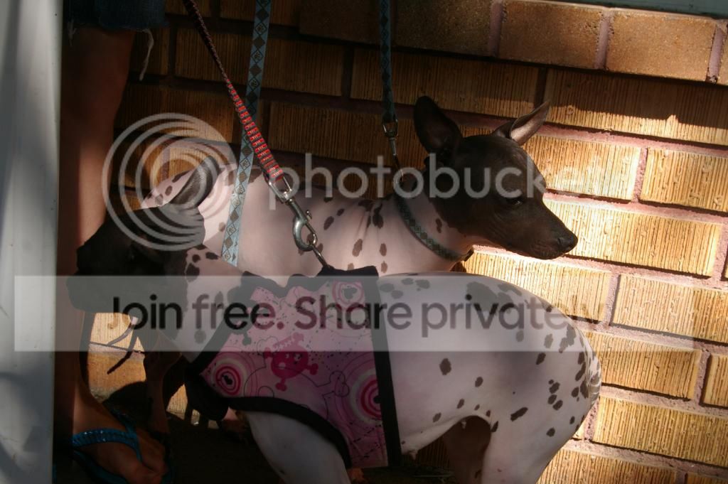 IMGP1103.jpg
