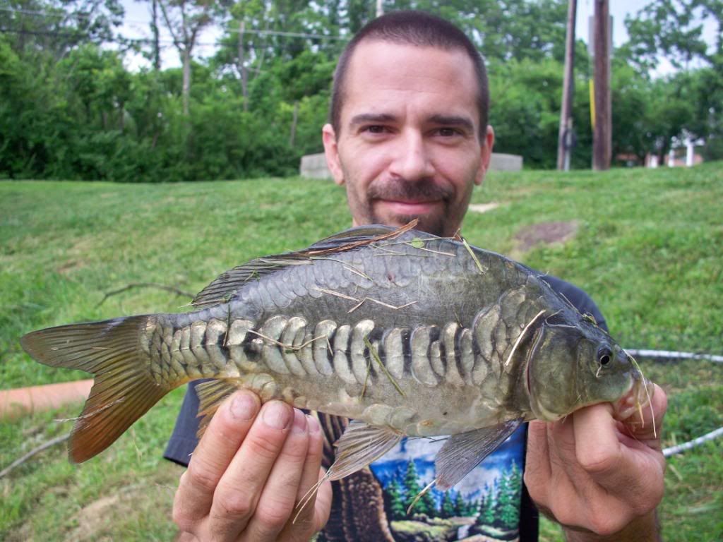 fishn017-1.jpg