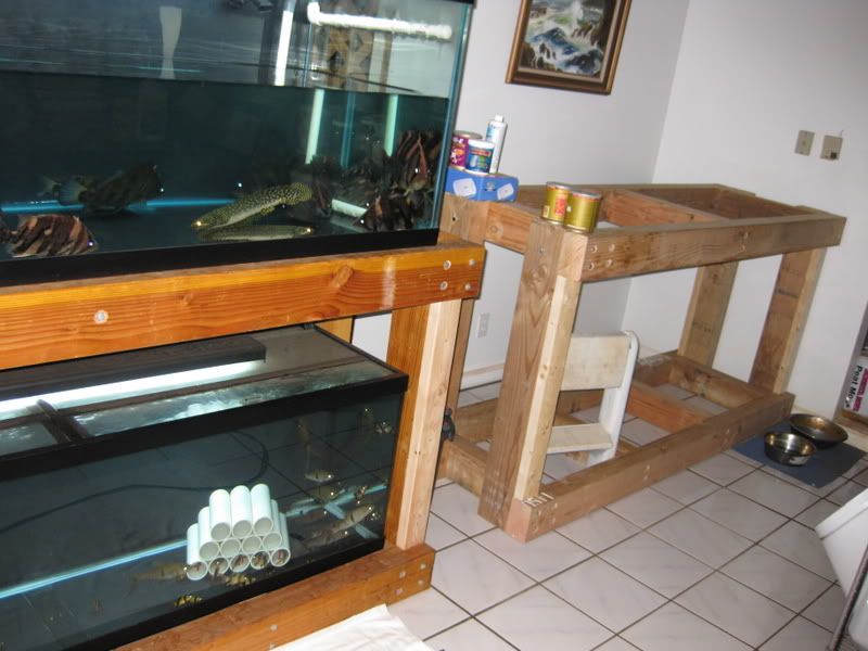 2-2-09003.jpg