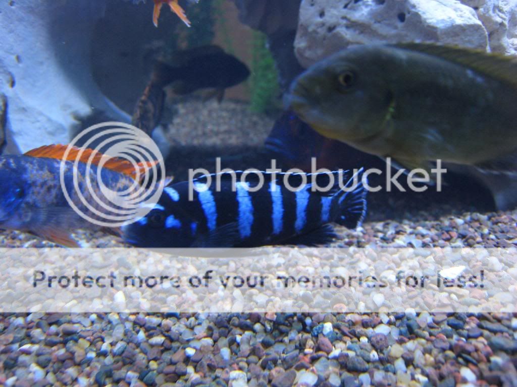 IMG_9294.jpg