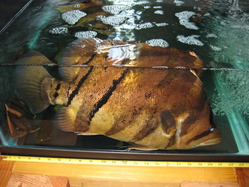 1-30-09015.jpg