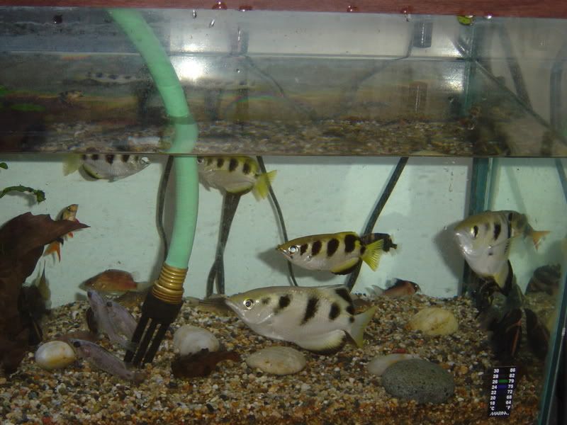 120gpt2005.jpg
