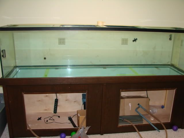 DSC03128.jpg