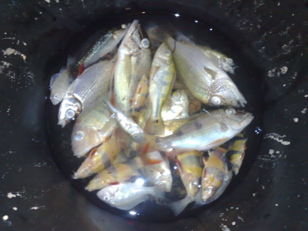 26022009555.jpg