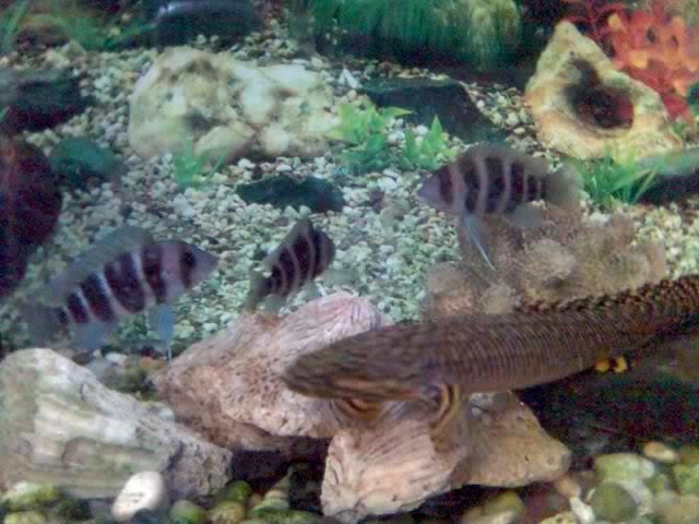 29-09-07_0737.jpg