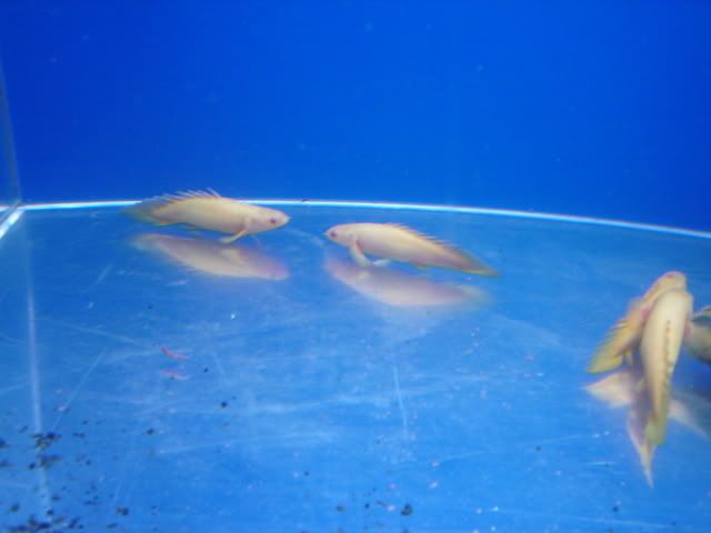 DSC08637.jpg