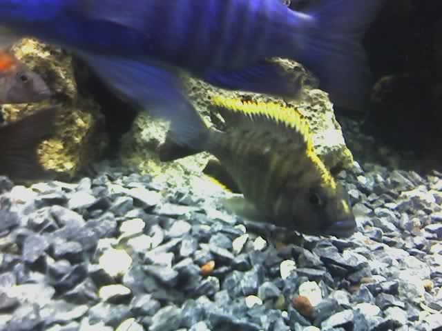 09-07-06_2212.jpg