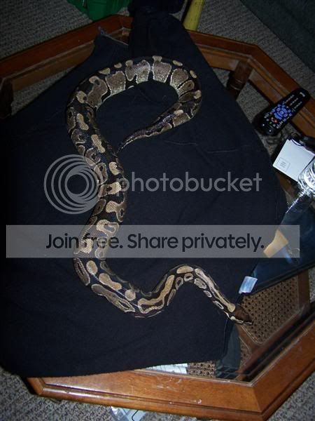 100_0755Medium.jpg