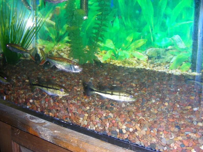 DSCN1540.jpg