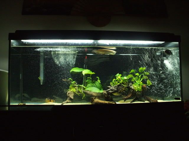 DSCF1427.jpg