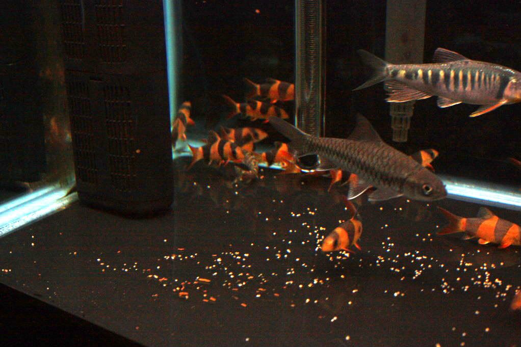 IMG_6189.jpg