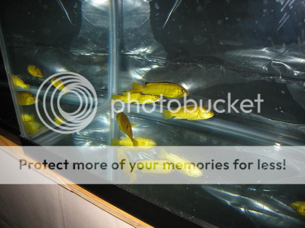 IMG_9471.jpg