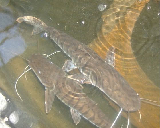 DSCF4360.jpg