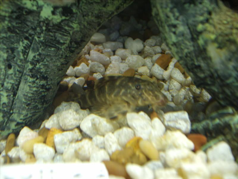 GEDC0442.jpg