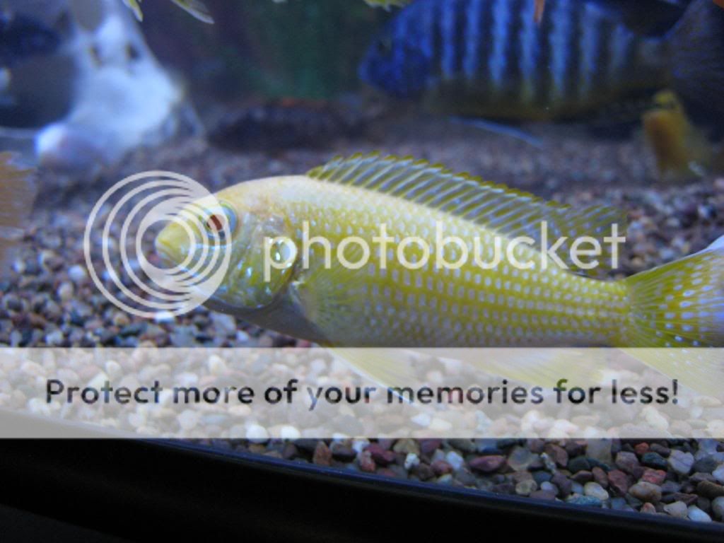 IMG_9290.jpg
