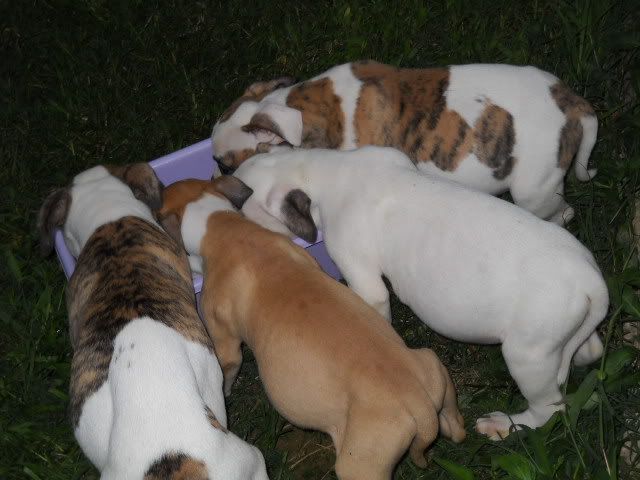 Picture093.jpg