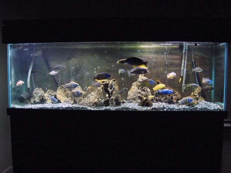135full.jpg