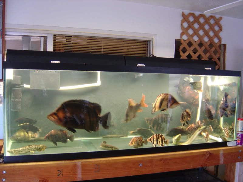 7-3-08006.jpg