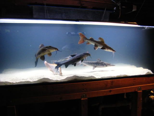 IMG_6912.jpg