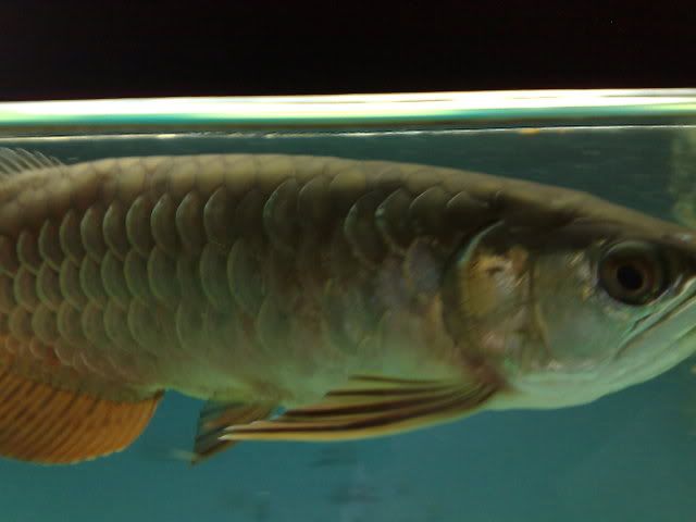 300320081710.jpg