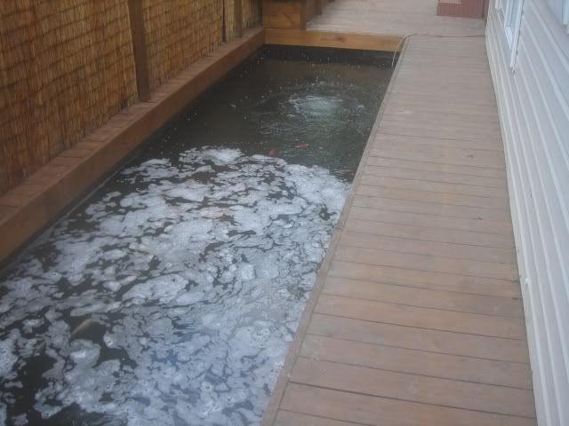 DSC09940.jpg