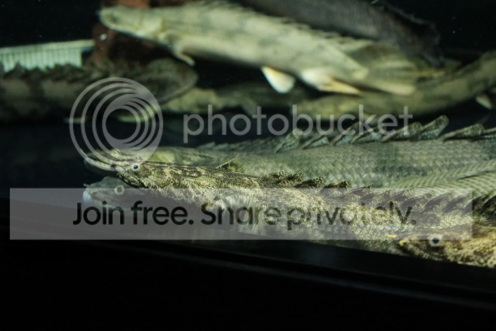 IMG_6468.jpg