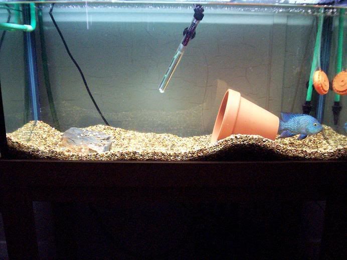 100_7555.jpg