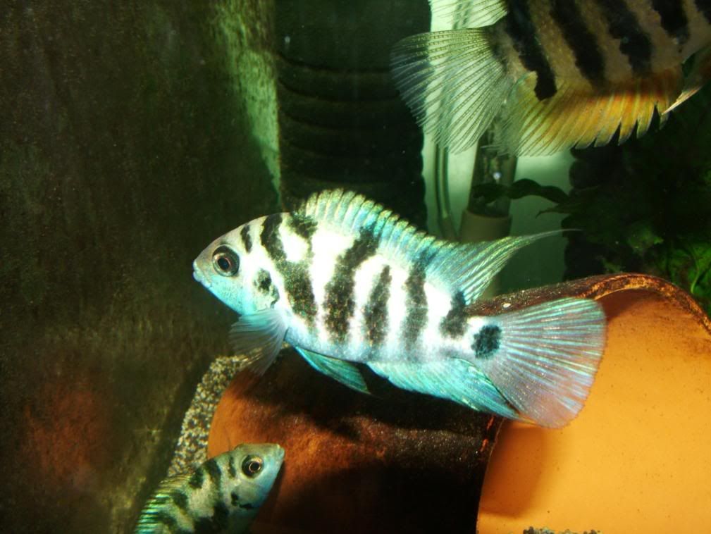 DSCF7051.jpg
