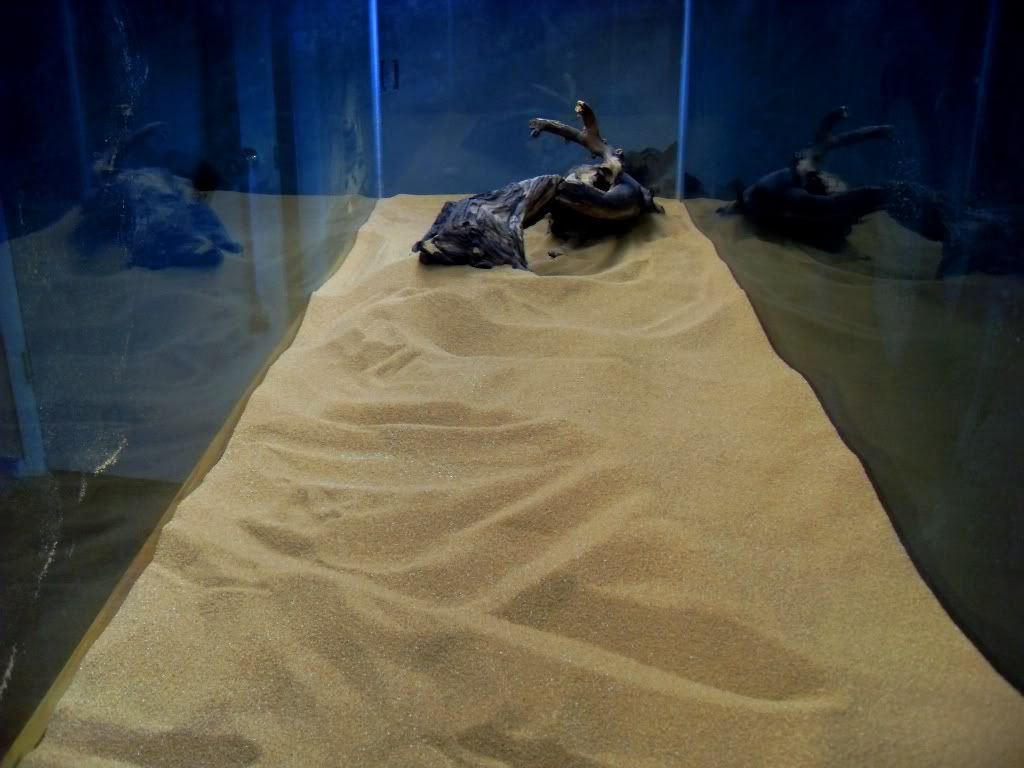 SDC11689.jpg