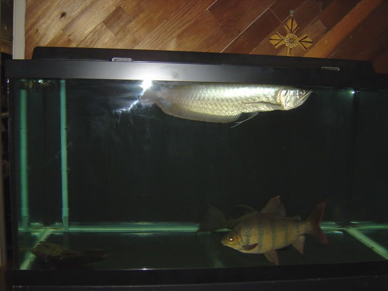 9-22-08019.jpg