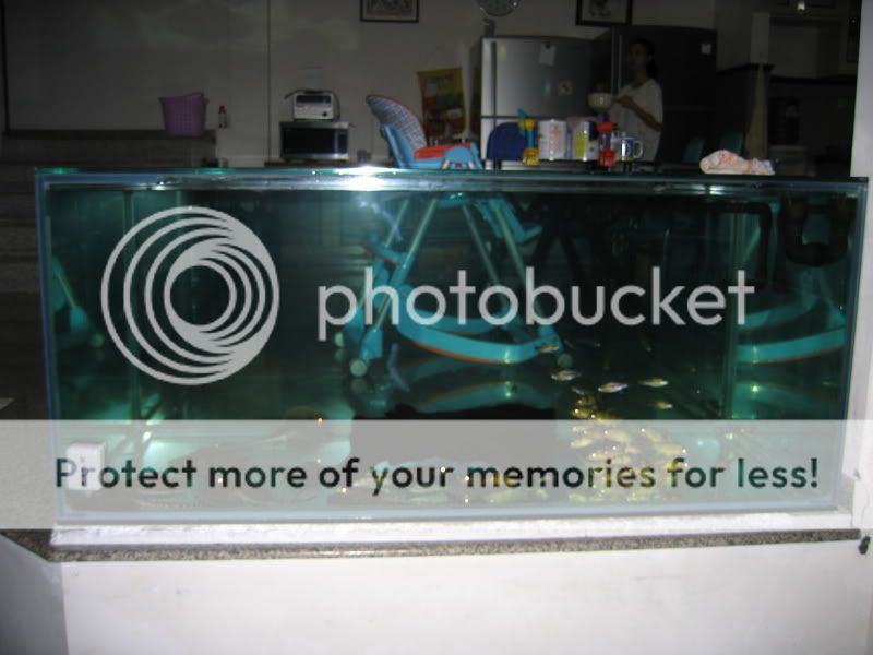 picture3265.jpg