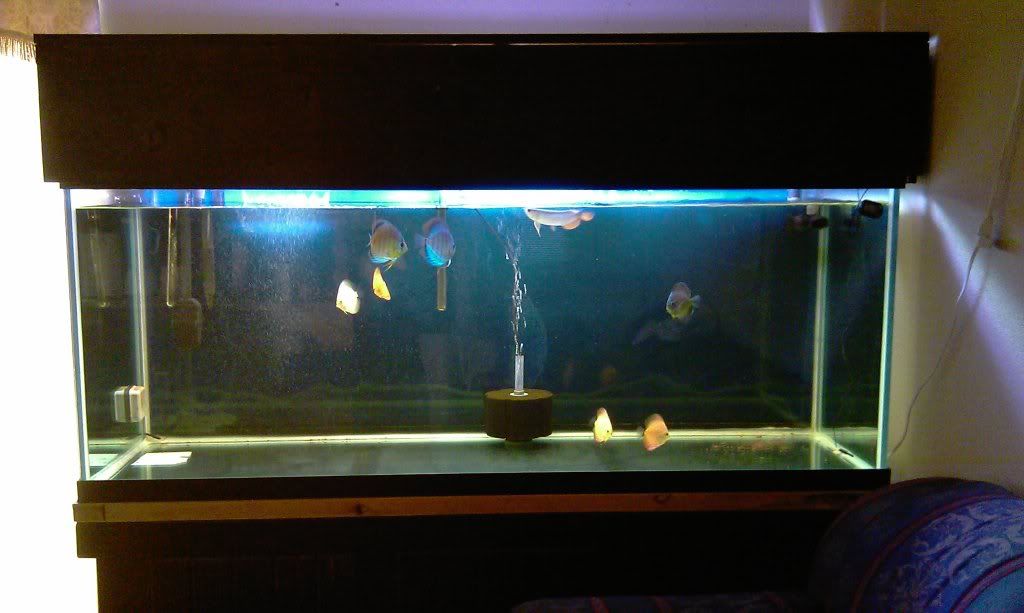 IMAG0085.jpg