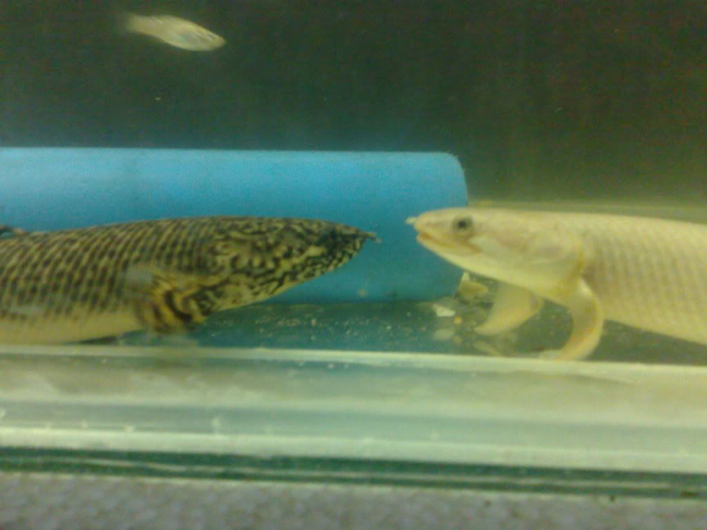 04072009461.jpg