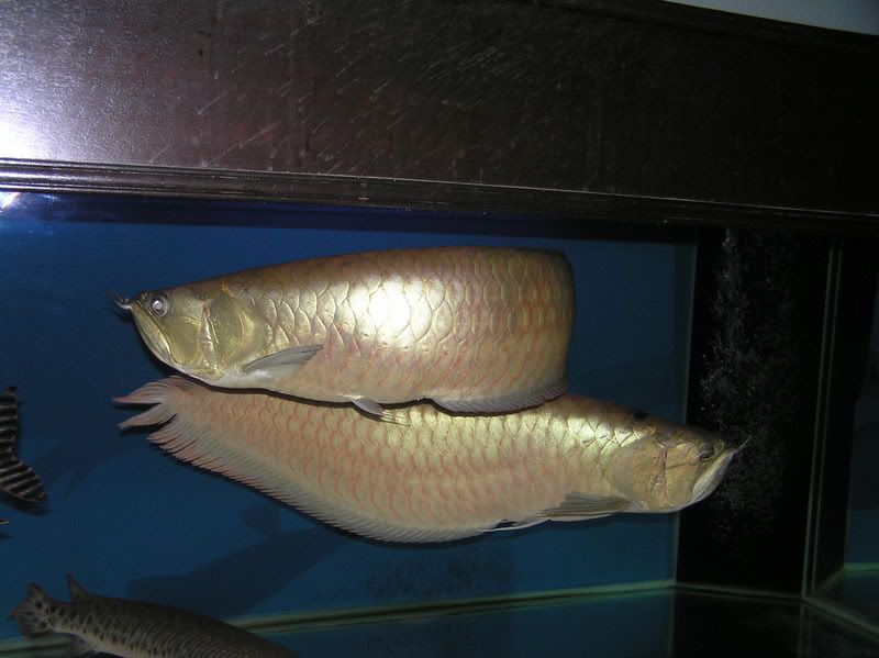 PB040007.jpg