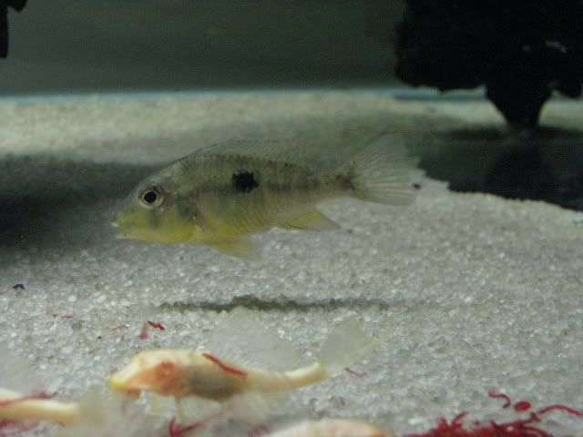 IMG_0792.jpg
