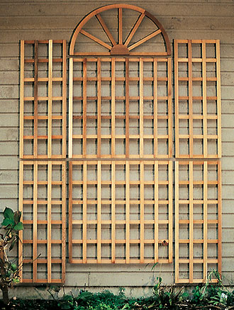 english_wall_trellis_large.jpg