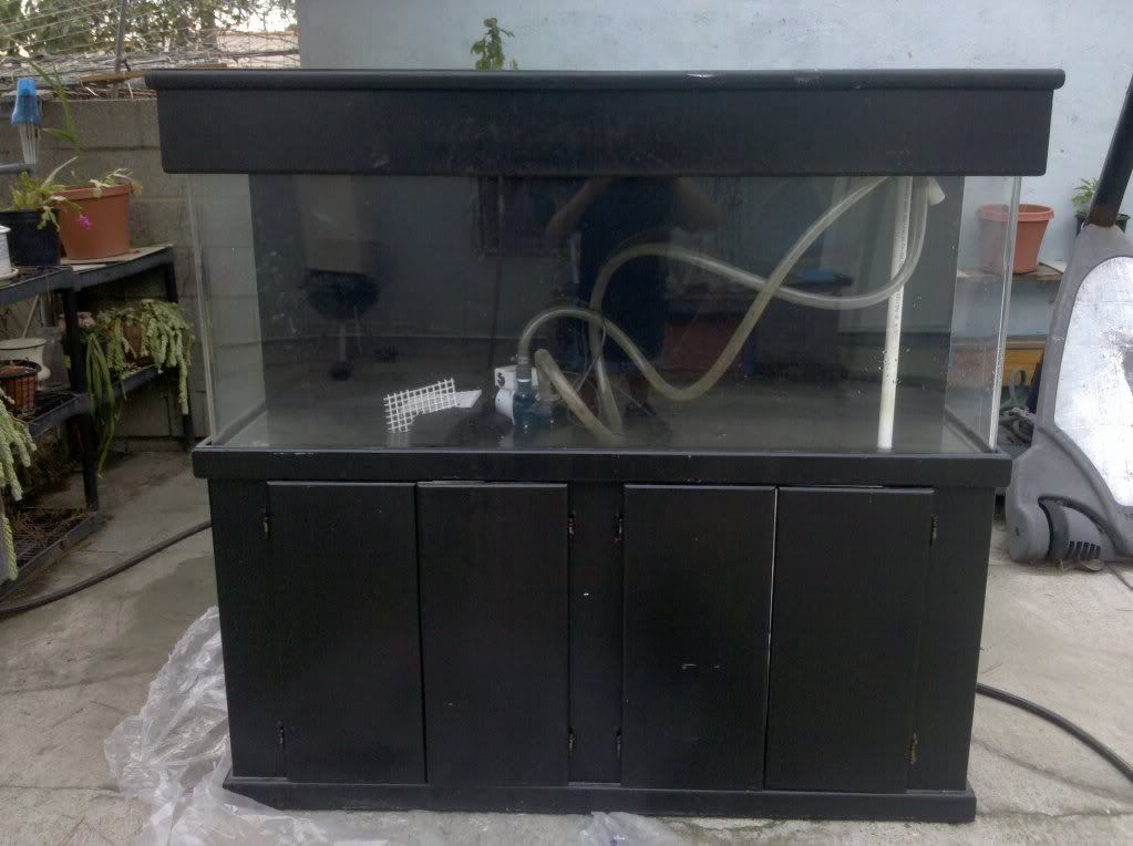 2010-01-25142403.jpg