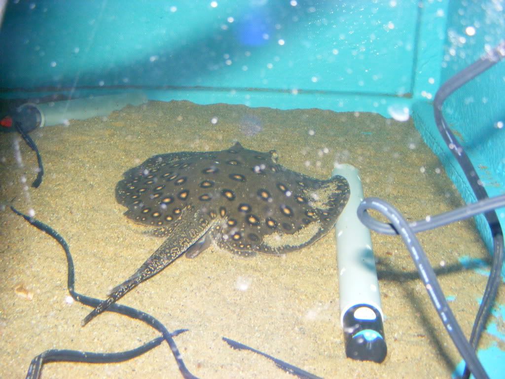 DSCF2678.jpg