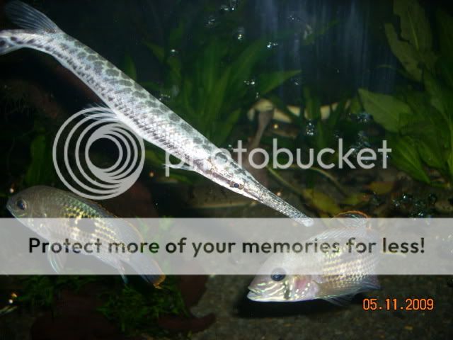 DSCN1097.jpg